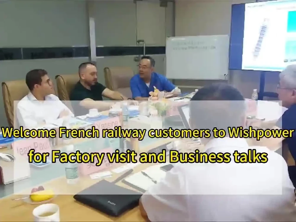 French Railway Clients Visit Wishpower